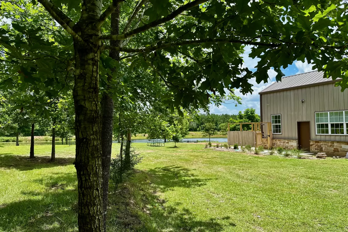 The Cabin
